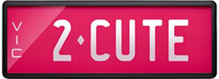 BIRDBOI custom number plate