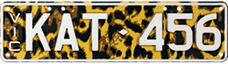 2022 Geelong Cats